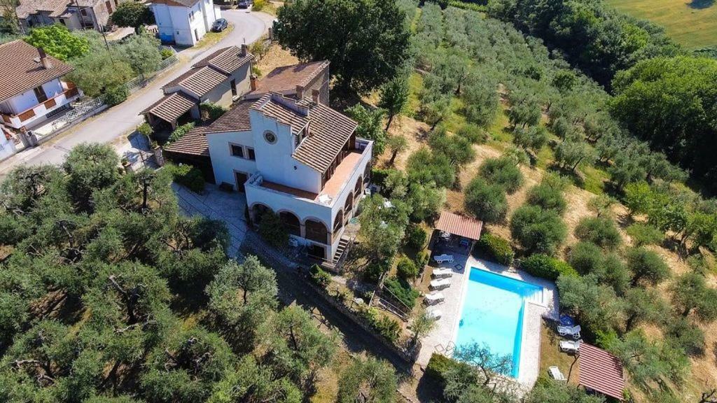 Il Poggio Degli Ulivi Διαμέρισμα Collicello Εξωτερικό φωτογραφία
